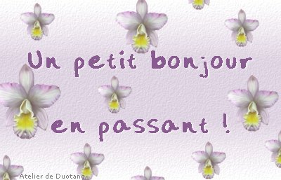 un petit bonjour en passant !